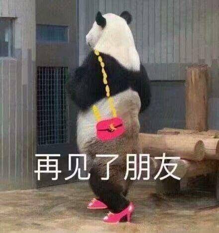 “我讨厌的弟弟被当作王子对待，这让我很生气。”