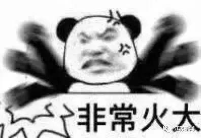 “我讨厌的弟弟被当作王子对待，这让我很生气。”