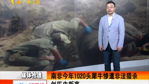 偷猎者今年在南非已经杀死了100多头犀牛。大多数是在国家公园