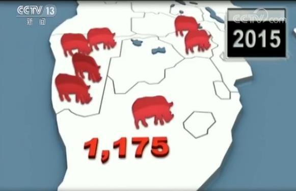 偷猎者今年在南非已经杀死了100多头犀牛。大多数是在国家公园