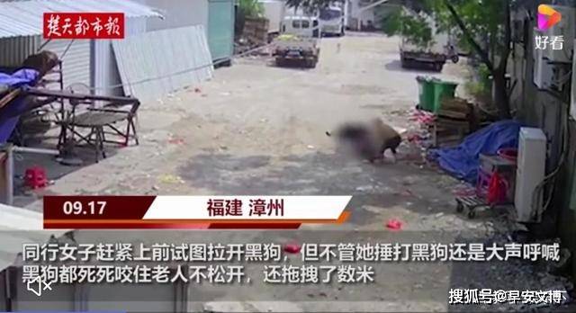 巴西同意赔偿50年前在独裁统治期间遇害的记者家属