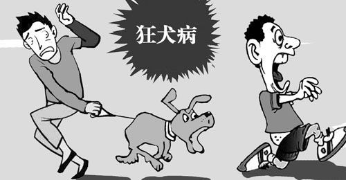 英国人在摩洛哥度假时被流浪狗咬伤，死于狂犬病