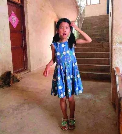 绍森德公园树木倒塌，7岁女孩死亡，二胎“情况危急”